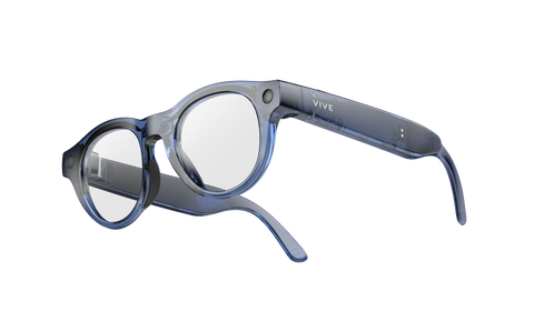 VIVE Eagle Pantos Clear Lens (Navy)