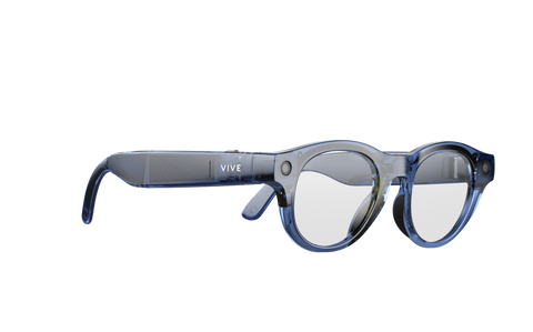 VIVE Eagle Pantos Clear Lens (Navy)