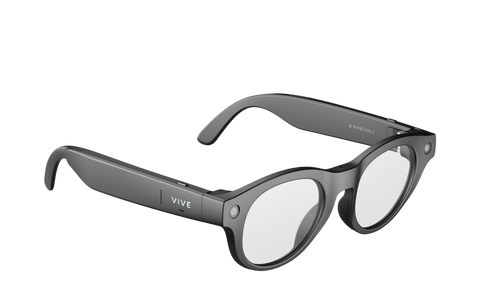 VIVE Eagle Pantos Clear Lens (Charcoal Black)