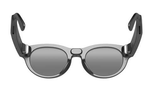 VIVE Eagle Pantos Sunglass Lens (Charcoal Black)