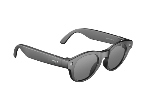 VIVE Eagle Pantos Sunglass Lens (Charcoal Black)