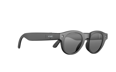 VIVE Eagle Pantos Sunglass Lens (Charcoal Black)