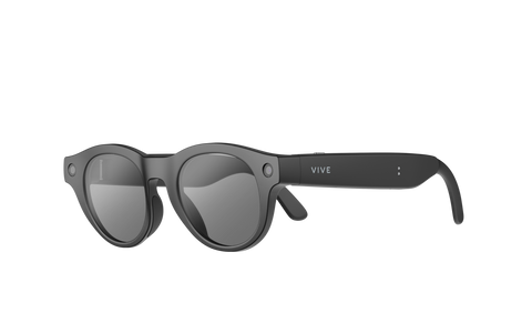 VIVE Eagle Pantos Sunglass Lens (Charcoal Black)
